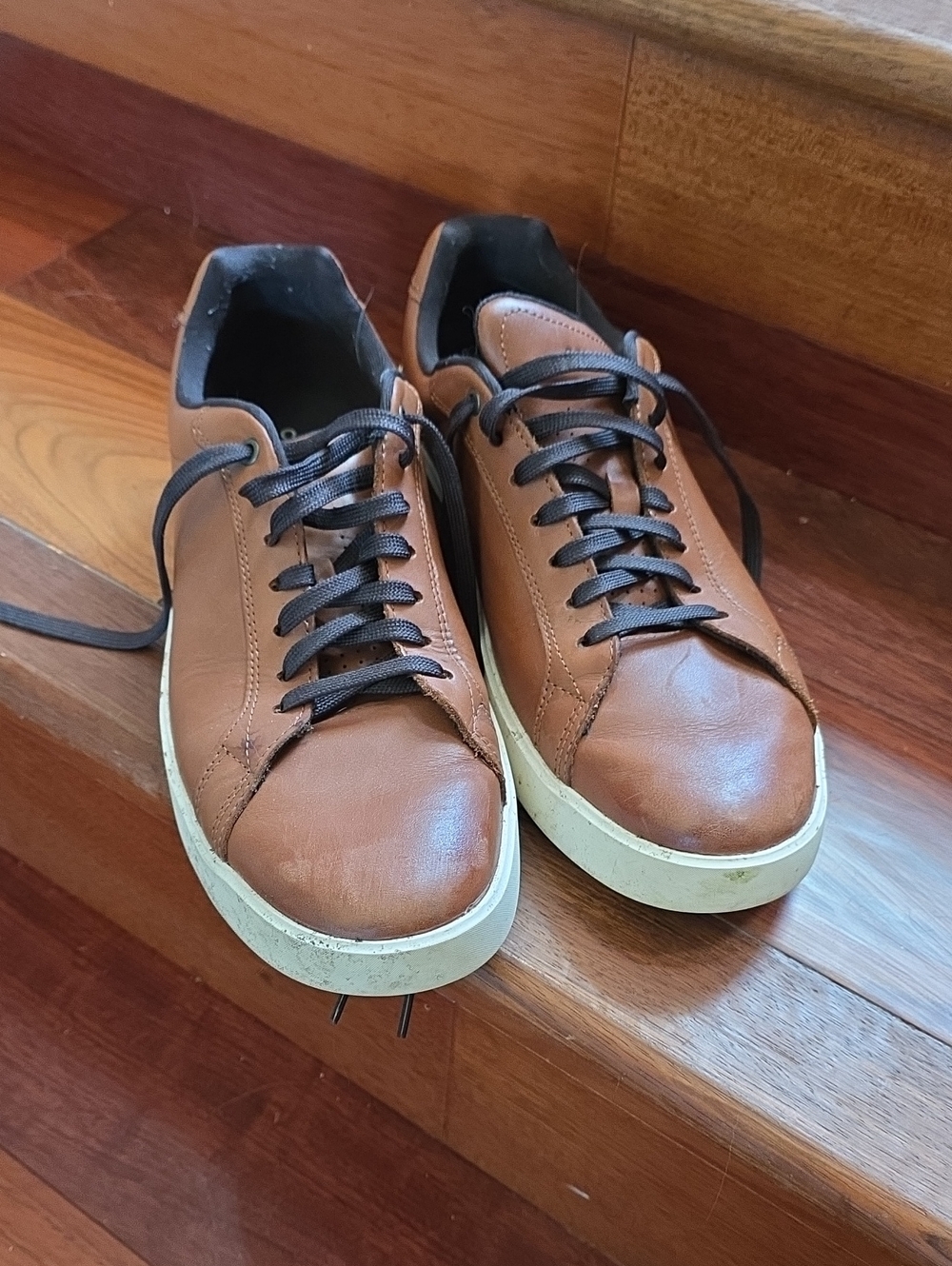 Cole Haan Men's Casual Leather Sneakers - Brown